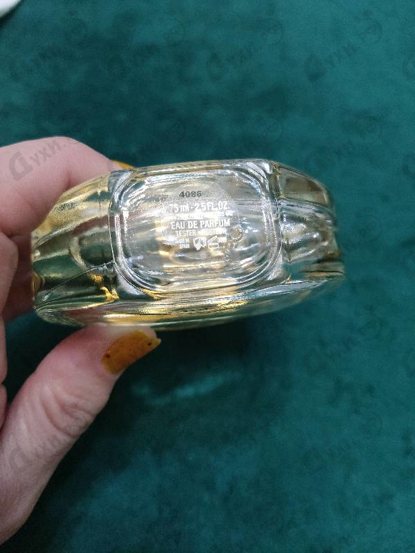 Отзывы Chloe Nomade Jasmin Naturel