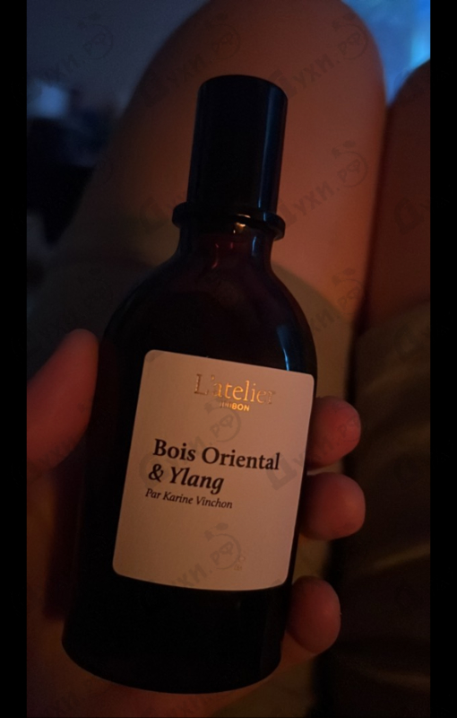 Купить Bois Oriental & Ylang от 100 Bon