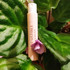 Парфюмерия Givenchy Irresistible Nude Velvet