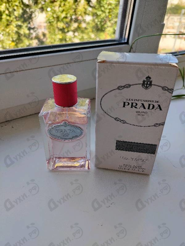 Духи Infusion De Rhubarbe от Prada