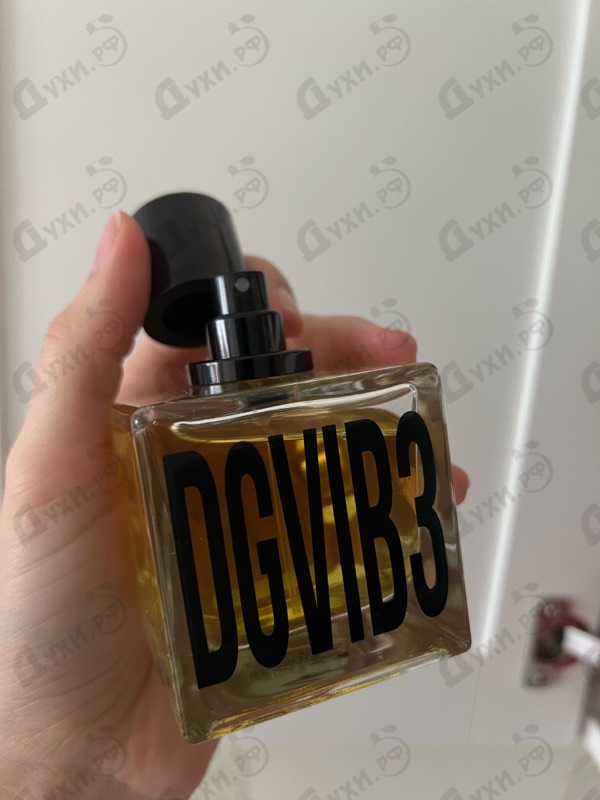 Купить DGVIB3 от Dolce & Gabbana