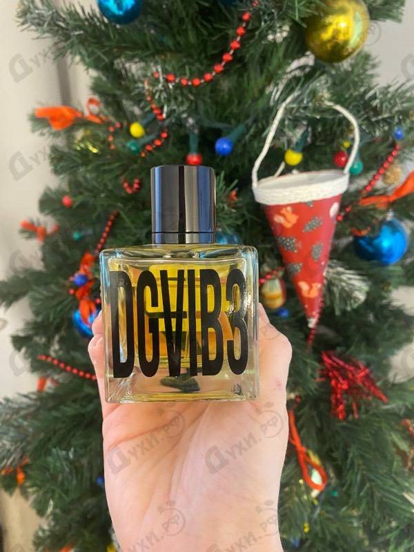 Купить Dolce & Gabbana DGVIB3