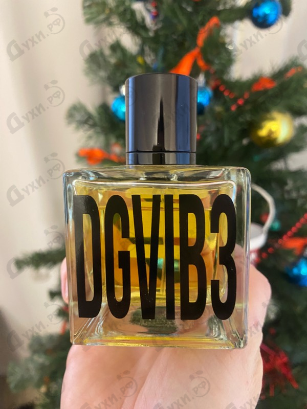 Купить Dolce & Gabbana DGVIB3