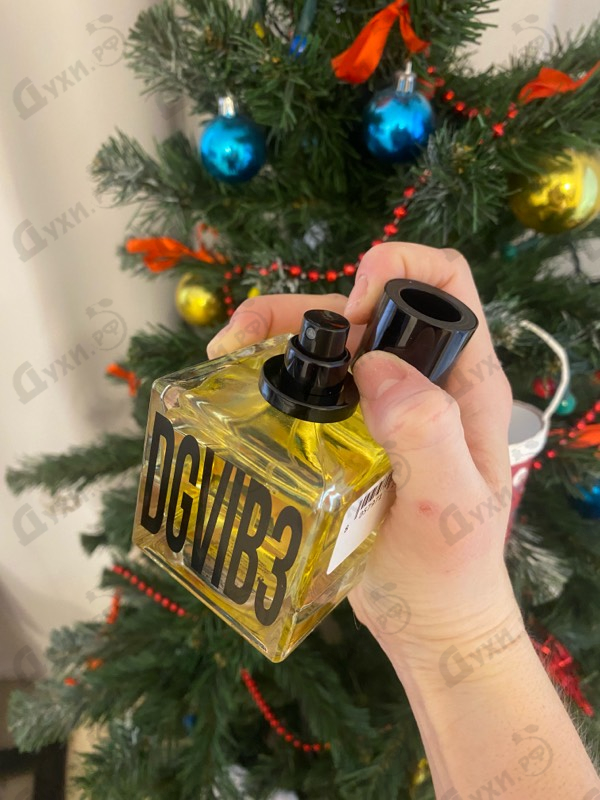 Купить DGVIB3 от Dolce & Gabbana