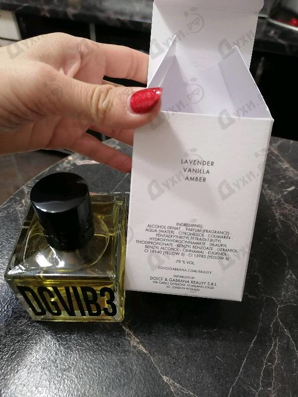 Купить DGVIB3 от Dolce & Gabbana