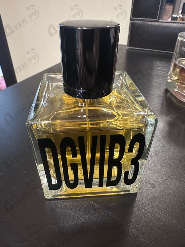 Купить DGVIB3 от Dolce & Gabbana