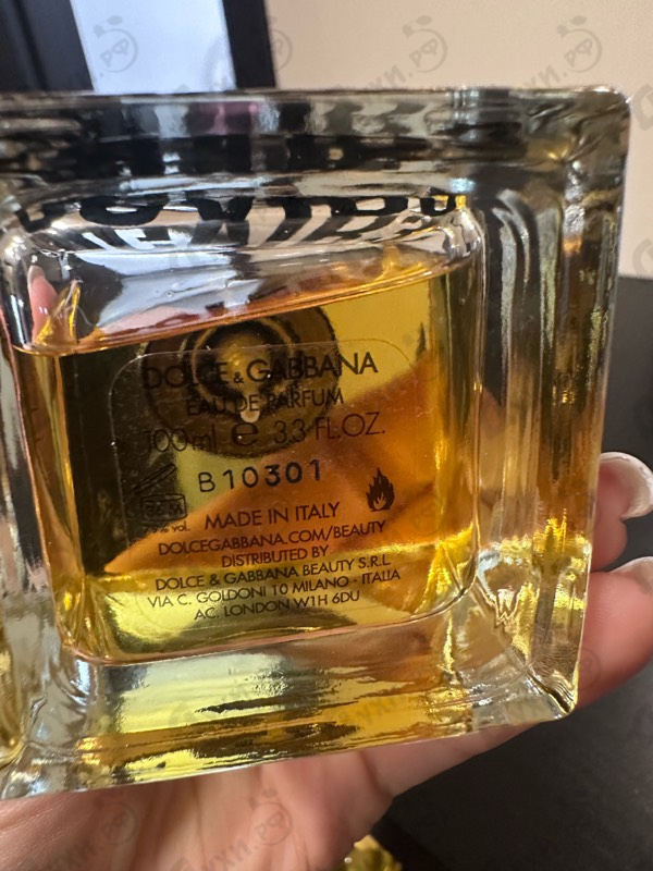 Купить DGVIB3 от Dolce & Gabbana