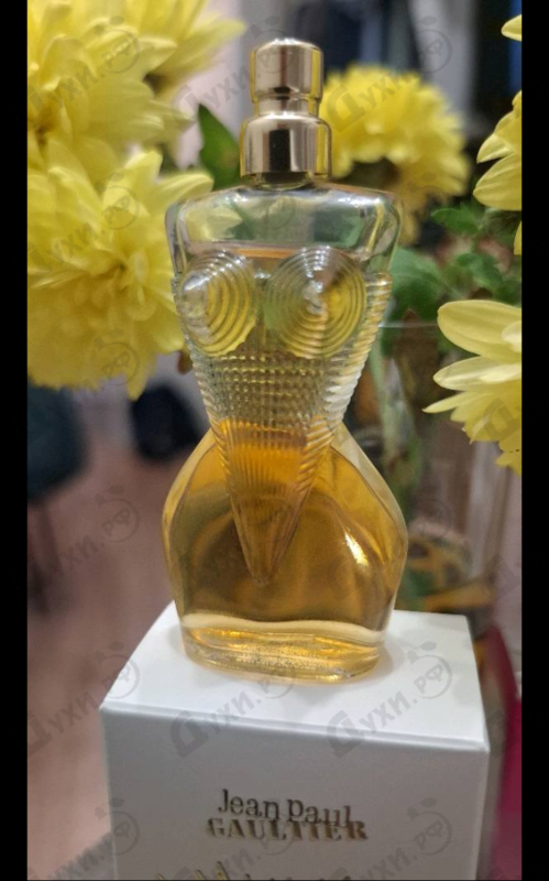 Купить Jean Paul Gaultier Gaultier Divine Le Parfum