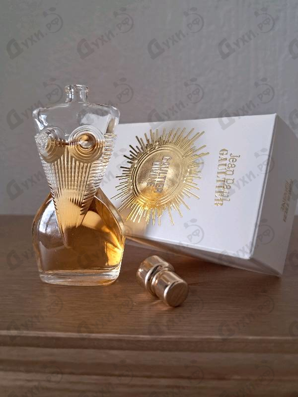 Купить Jean Paul Gaultier Gaultier Divine Le Parfum