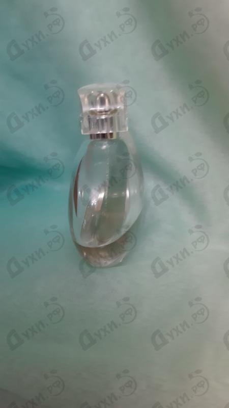 Отзыв Lacoste Inspiration Купить Inspiration от Lacoste