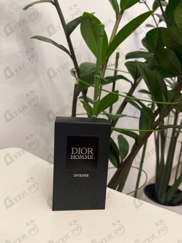 Духи Homme Intense 2025 от Christian Dior