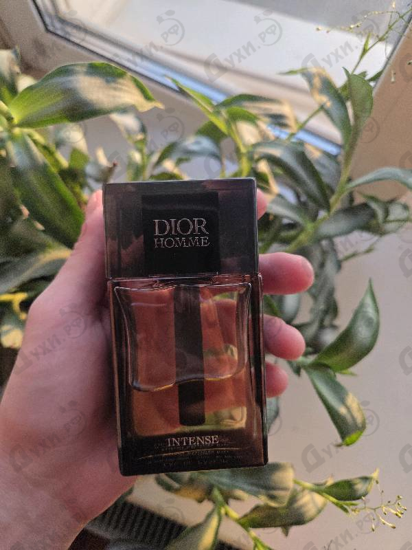 Парфюмерия Homme Intense 2025 от Christian Dior