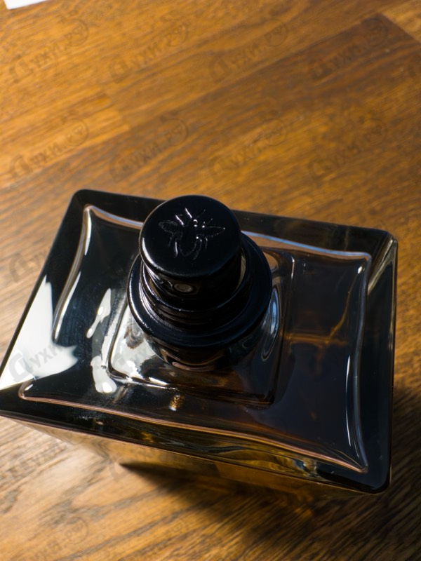 Парфюмерия Homme Intense 2025 от Christian Dior