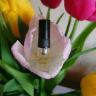 Отзывы Vilhelm Parfumerie Chimilka