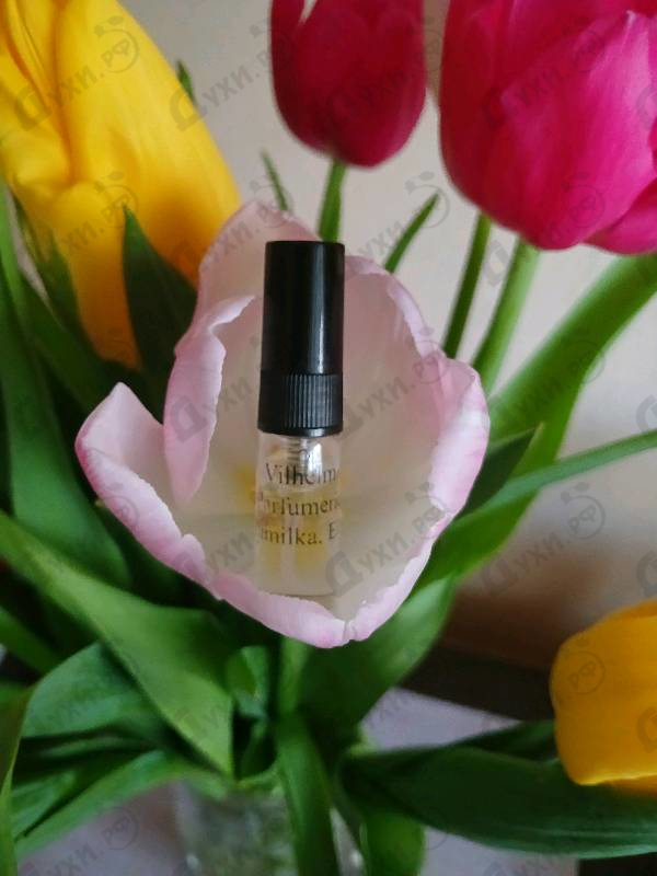 Отзывы Vilhelm Parfumerie Chimilka