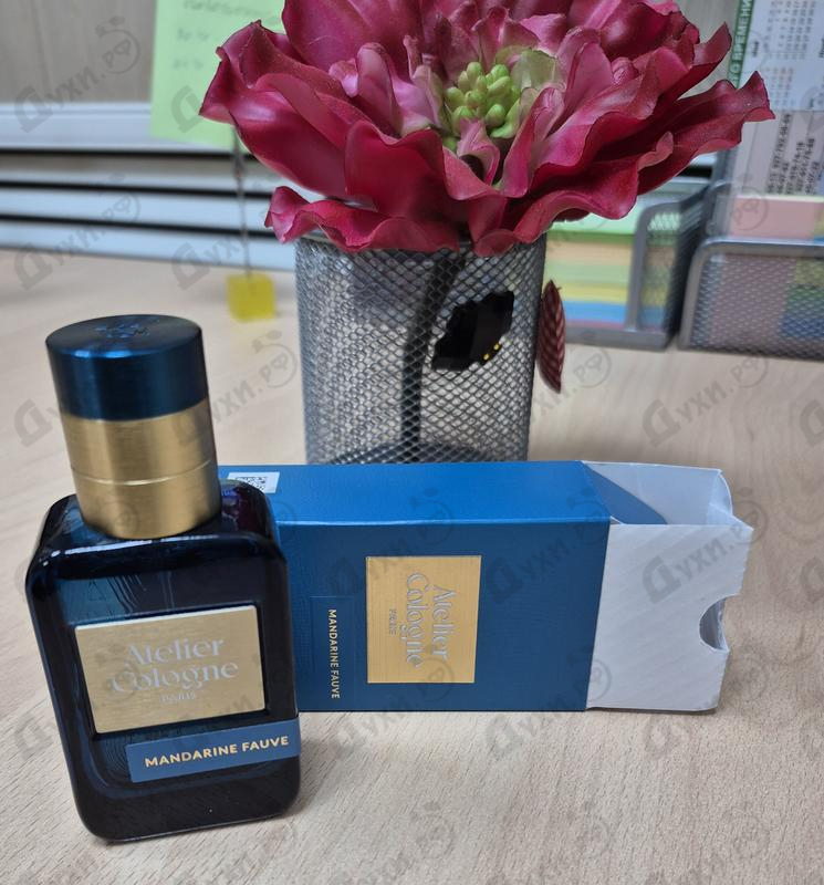 Парфюмерия Mandarine Fauve от Atelier Cologne