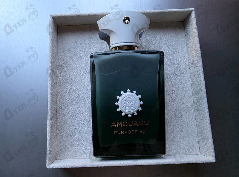 Купить Purpose 50 от Amouage