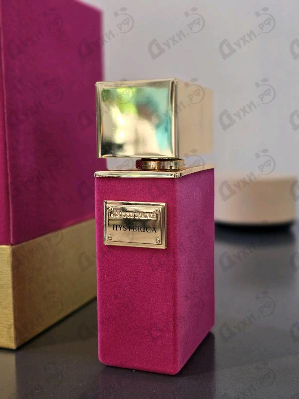 Отзыв Gritti Hysterica