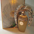 Парфюмерия Afeef от Lattafa Perfumes