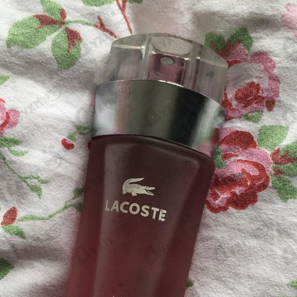 Купить Lacoste Love Of Pink