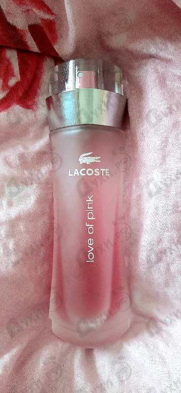 lacoste pink