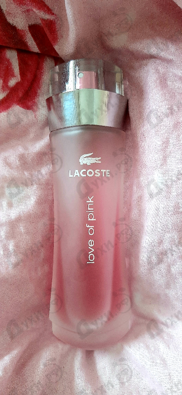 Купить Love Of Pink от Lacoste