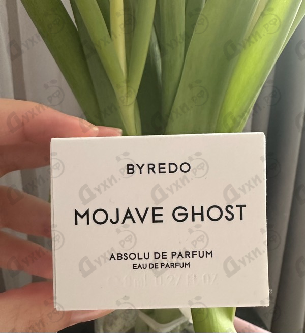 Купить Byredo Parfums Mojave Ghost Absolu De Parfum