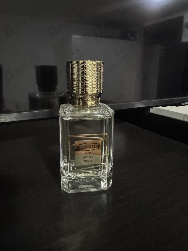 Купить Spiky Muse от Ex Nihilo