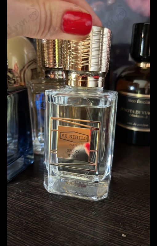 Купить Spiky Muse от Ex Nihilo