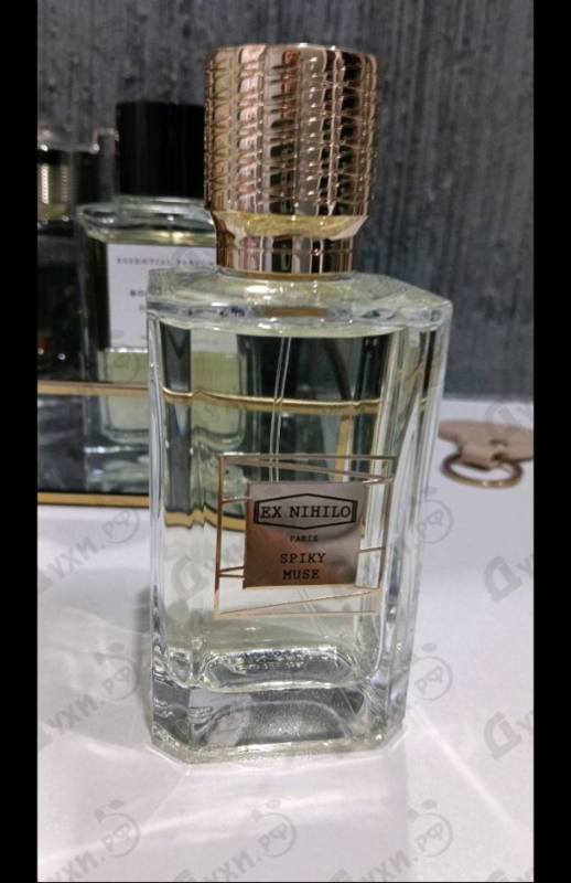 Отзыв Ex Nihilo Spiky Muse