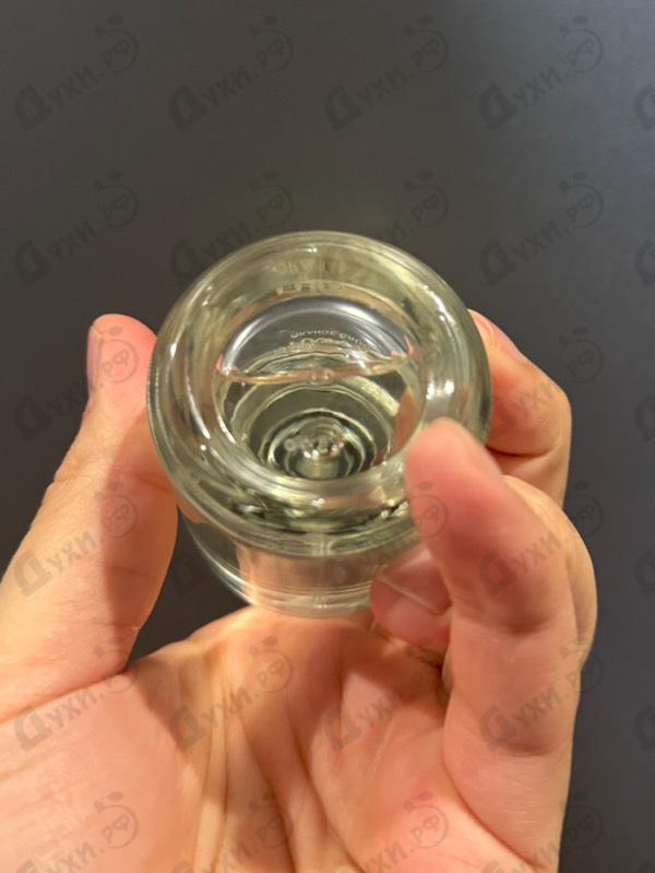 Парфюмерия Orange Crush от Fugazzi