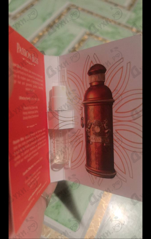 Купить Passion Bliss от Alexandre J