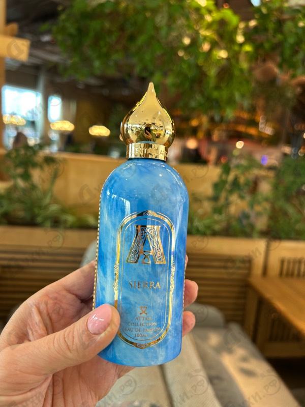 Купить Sierra от Attar Collection