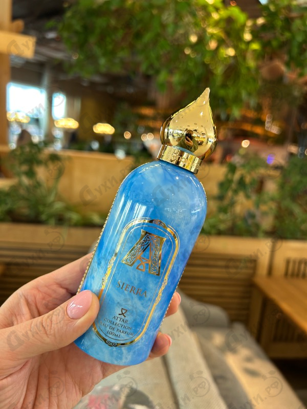 Купить Sierra от Attar Collection