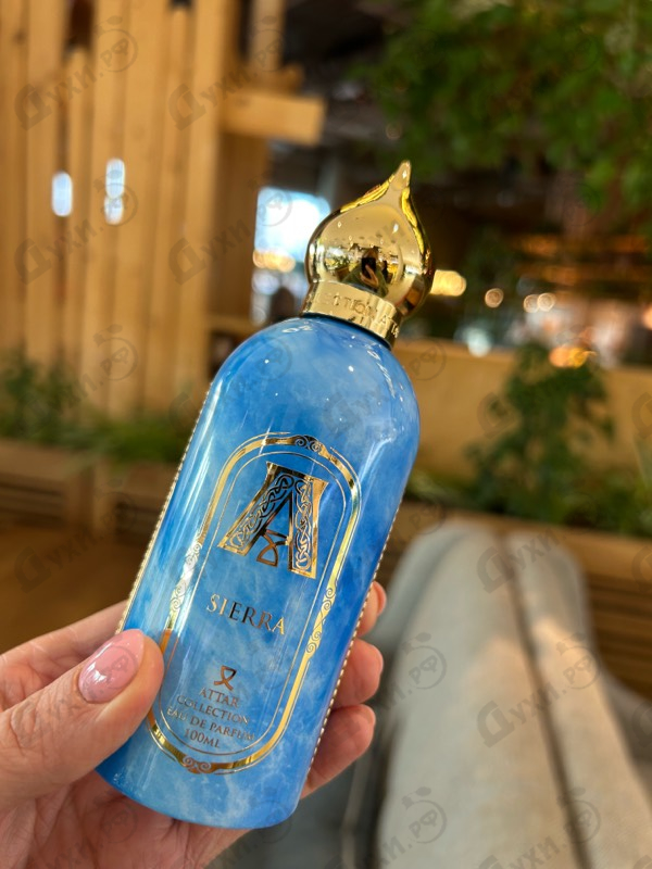 Отзывы Attar Collection Sierra