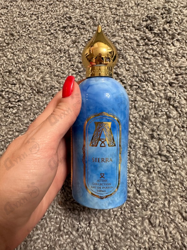 Купить Attar Collection Sierra