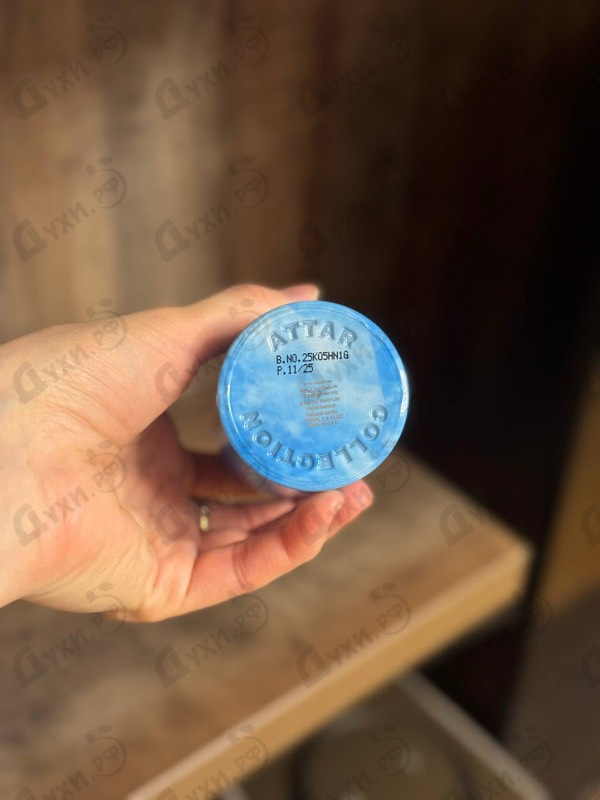 Купить Attar Collection Sierra