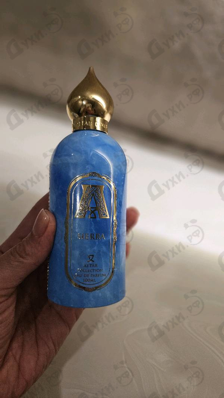 Купить Attar Collection Sierra