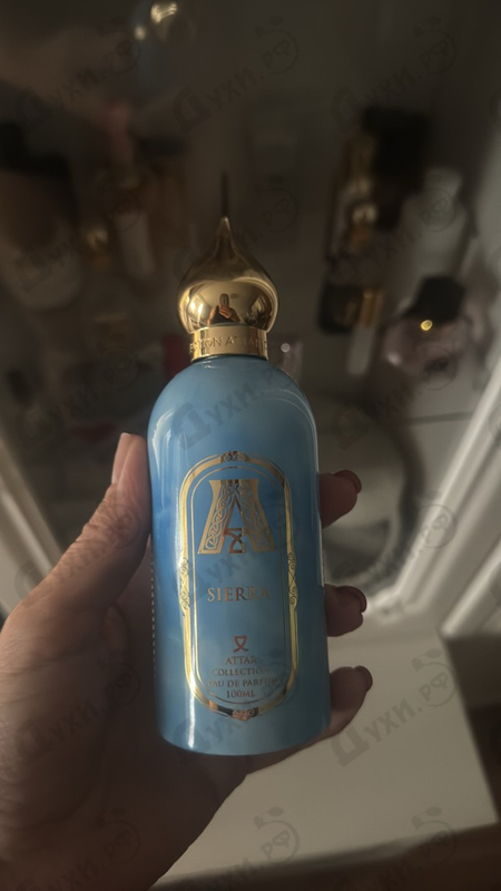 Купить Sierra от Attar Collection