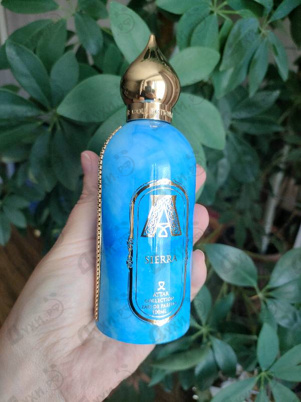 Отзыв Attar Collection Sierra