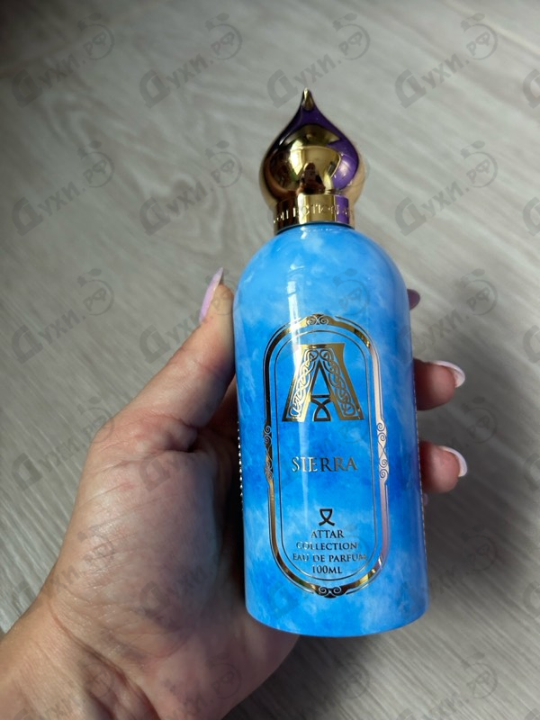 Купить Attar Collection Sierra