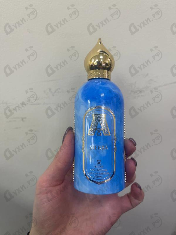 Купить Sierra от Attar Collection