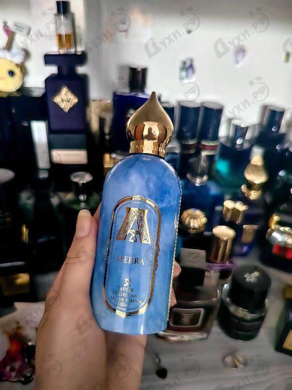 Купить Attar Collection Sierra
