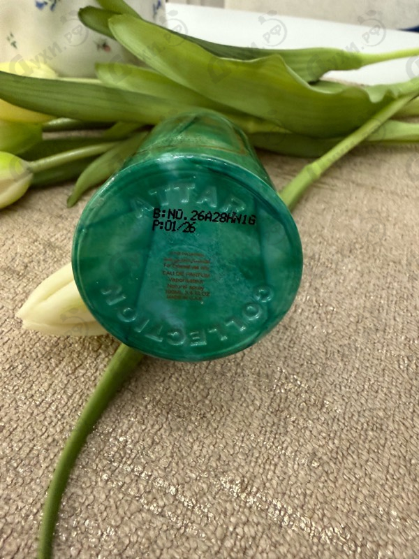 Купить Capella от Attar Collection