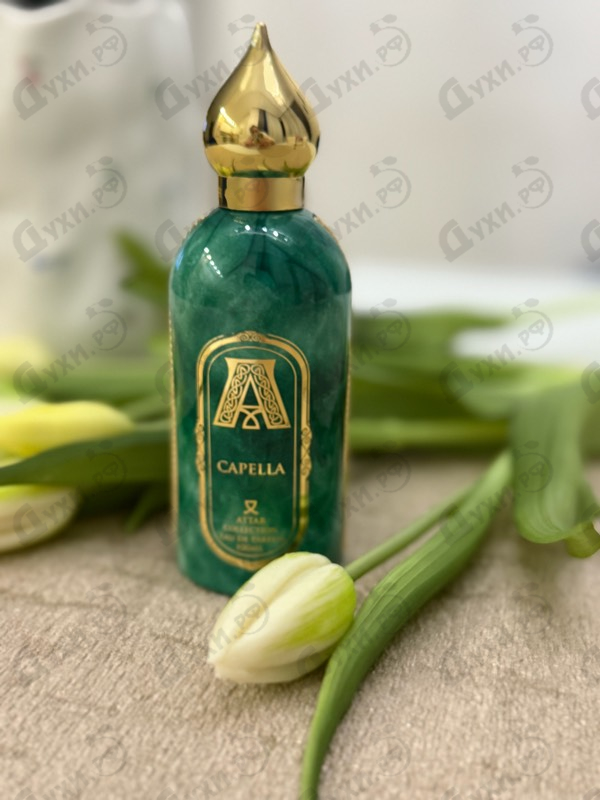 Купить Capella от Attar Collection