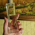 Отзывы Lacoste Pour Femme