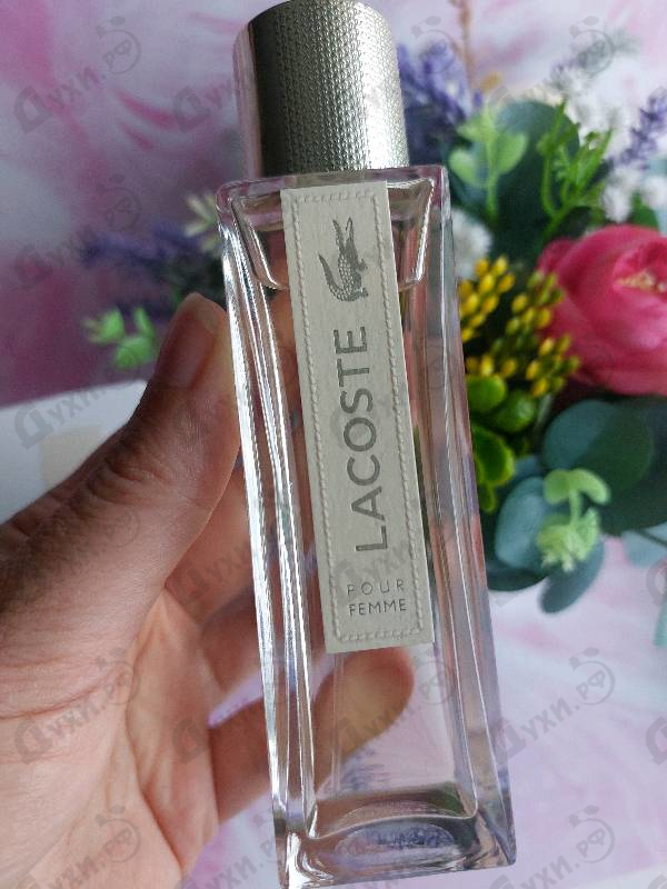 Купить Pour Femme от Lacoste