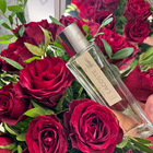 Духи Pour Femme от Lacoste