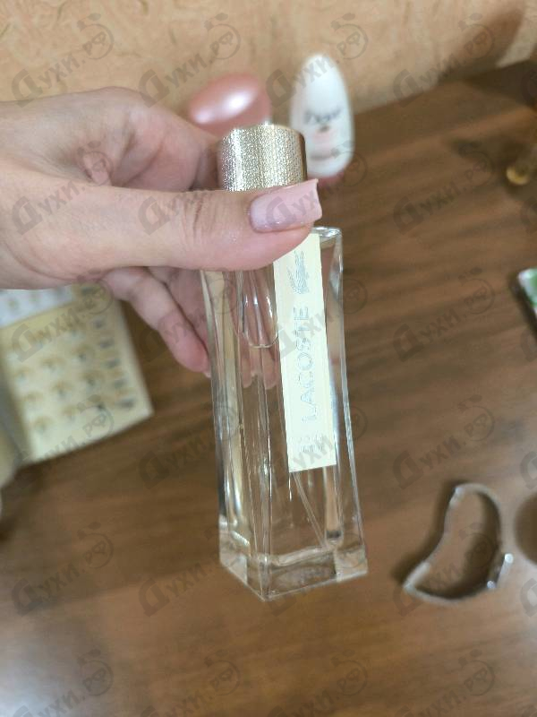 Купить Pour Femme от Lacoste