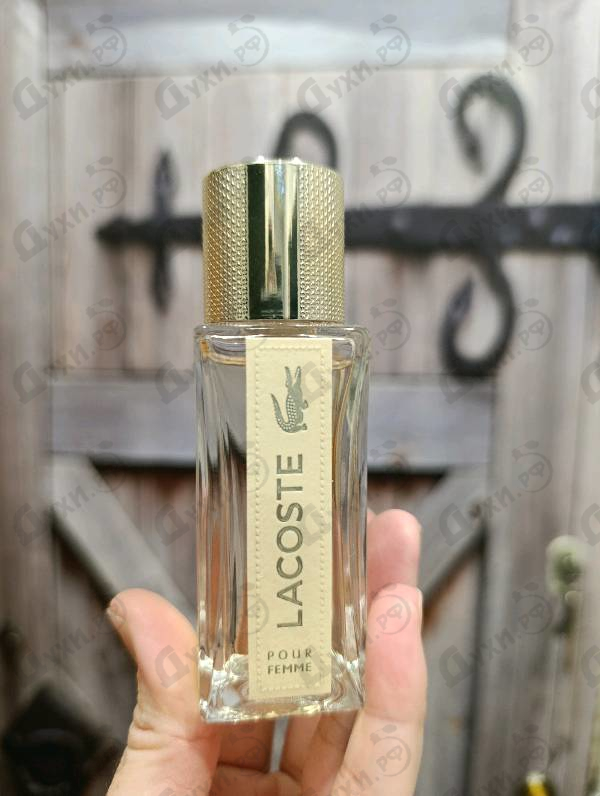 Купить Pour Femme от Lacoste
